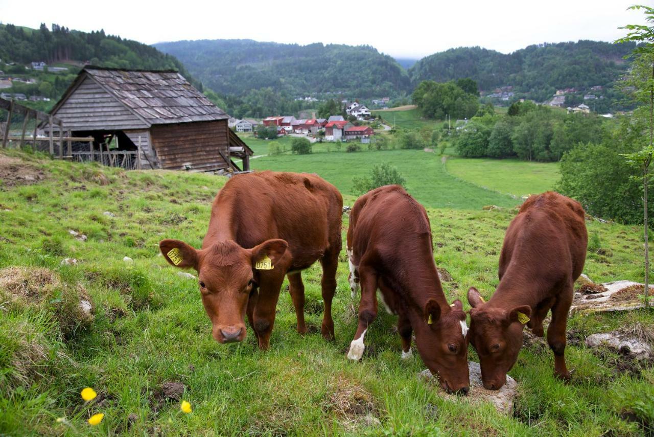 Mo Gardsferie-Pers Frukthage Vila Øystese Exterior foto