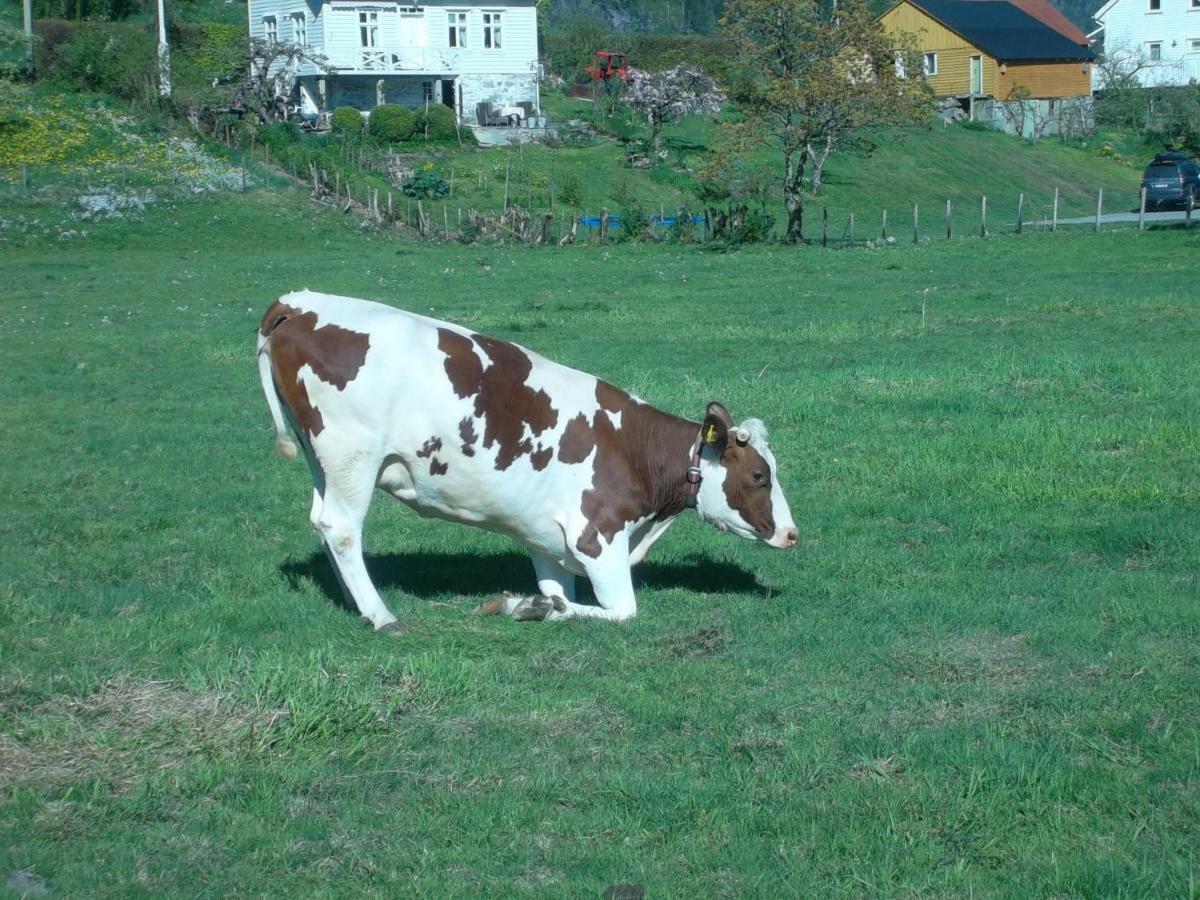 Mo Gardsferie-Pers Frukthage Vila Øystese Exterior foto