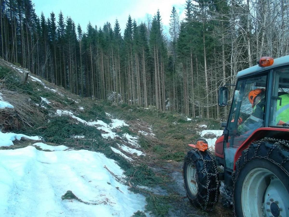 Mo Gardsferie-Pers Frukthage Vila Øystese Exterior foto